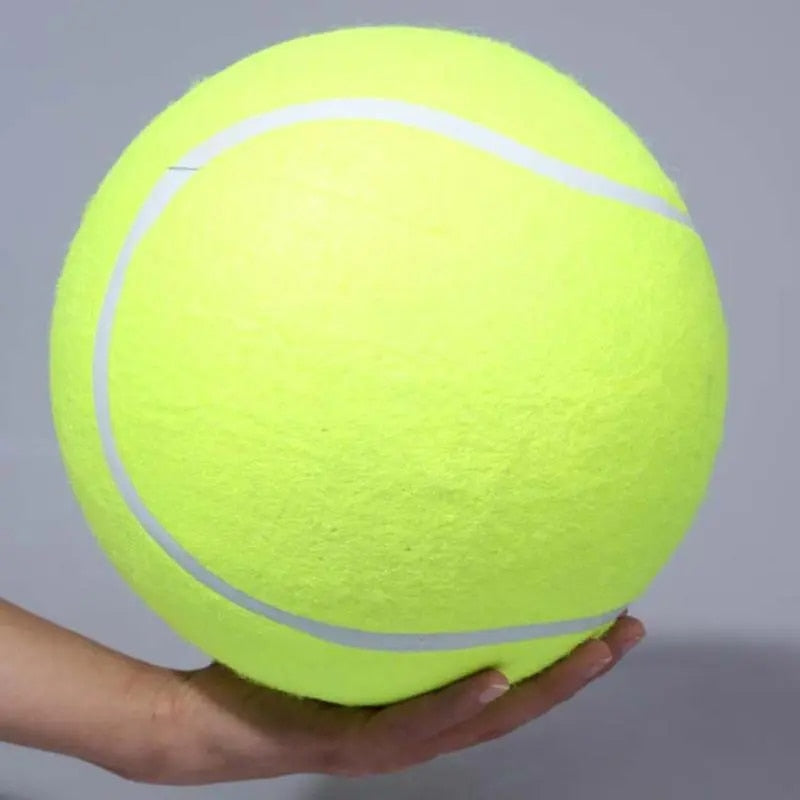 Big Fetch tennis ball