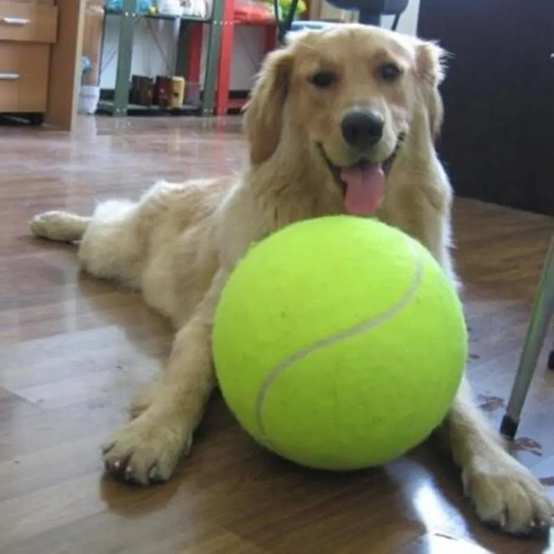 Big Fetch tennis ball