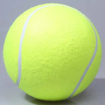 Big Fetch tennis ball