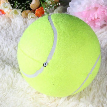 Big Fetch tennis ball