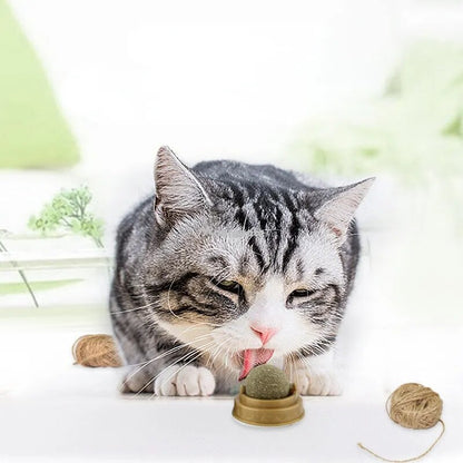 Hang and Nip Cat Nip - Cat Snack (3 week shipping)