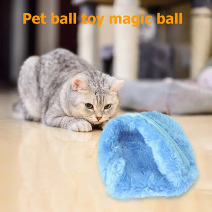 Playful Pup Ball - 4 Balls